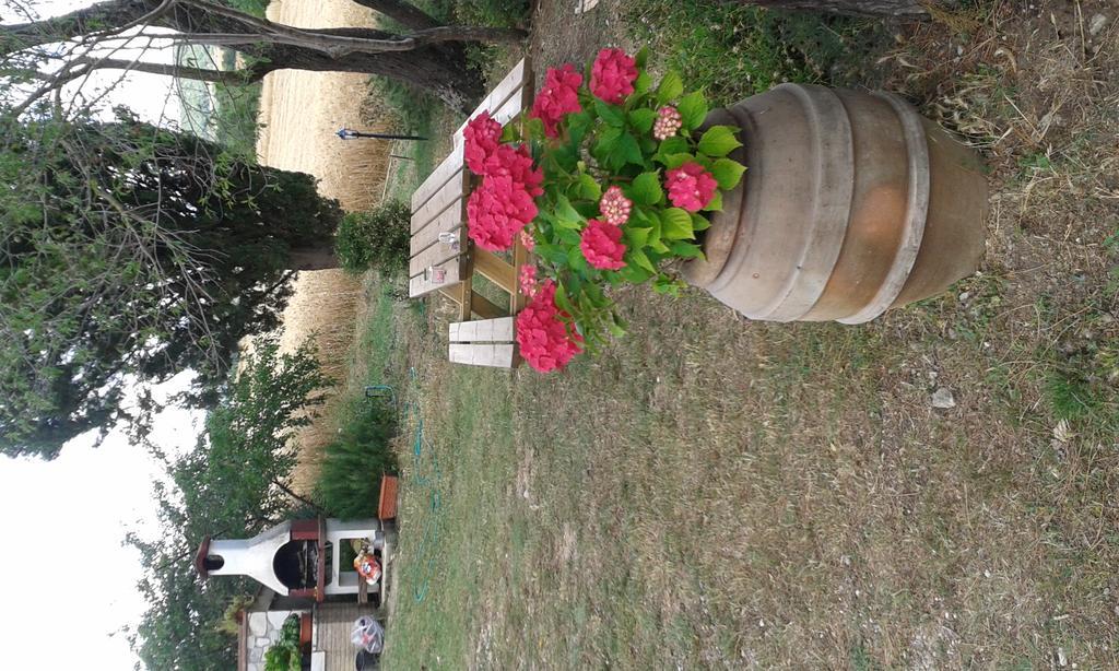 Agriturismo Le Stiacce サトゥルニア エクステリア 写真
